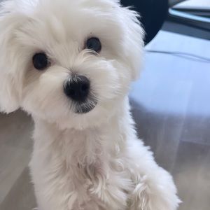 Meet your Posher, Yvette